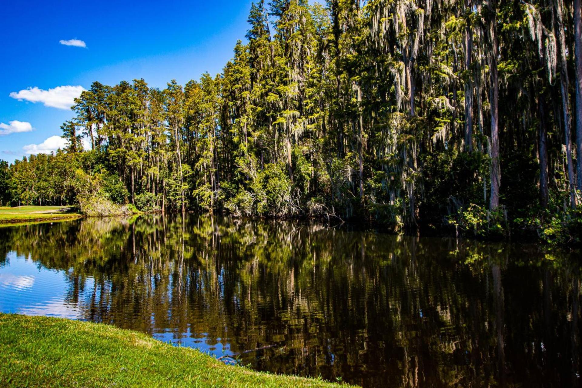 Serene Hideaway Wesley Chapel Exterior foto